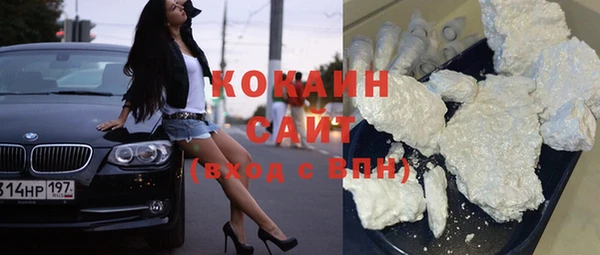 индика Белокуриха