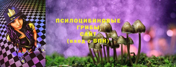 бошки Елабуга