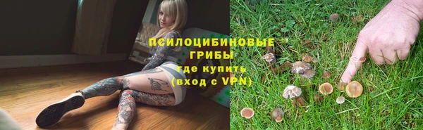 индика Белокуриха