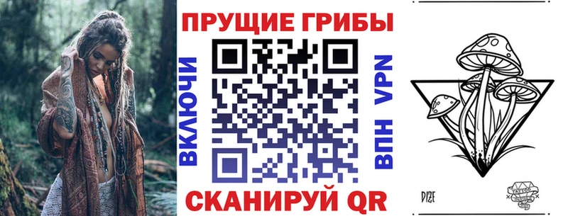 Галлюциногенные грибы GOLDEN TEACHER  купить закладку  hydra маркетплейс  Сердобск 