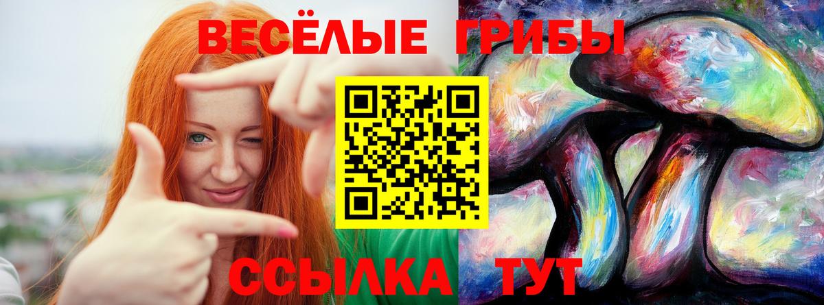 Сердобск  Галлюциногенные грибы MAGIC MUSHROOMS  Вход с VPN 