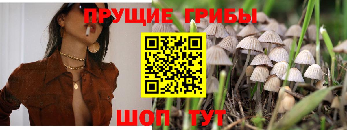 Галлюциногенные грибы мицелий Сердобск